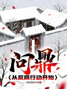 问鼎：从反腐行动开始